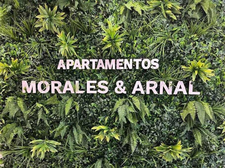XX D Apartamentos Morales & Arnal Ronda Bagian luar foto